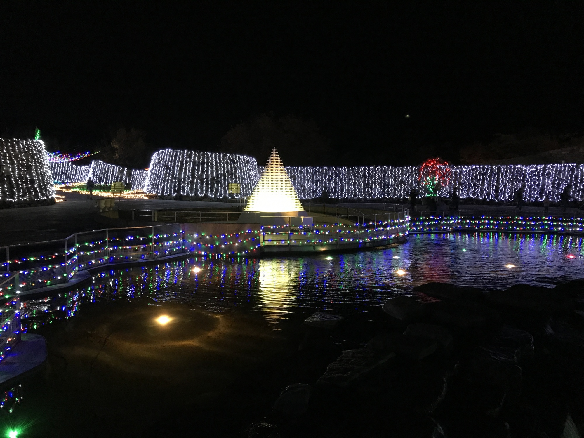 まんのう公園のイルミネーション 17 に行ってきました ゆり子飯